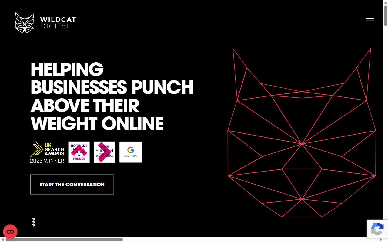 Wildcat Digital homepage